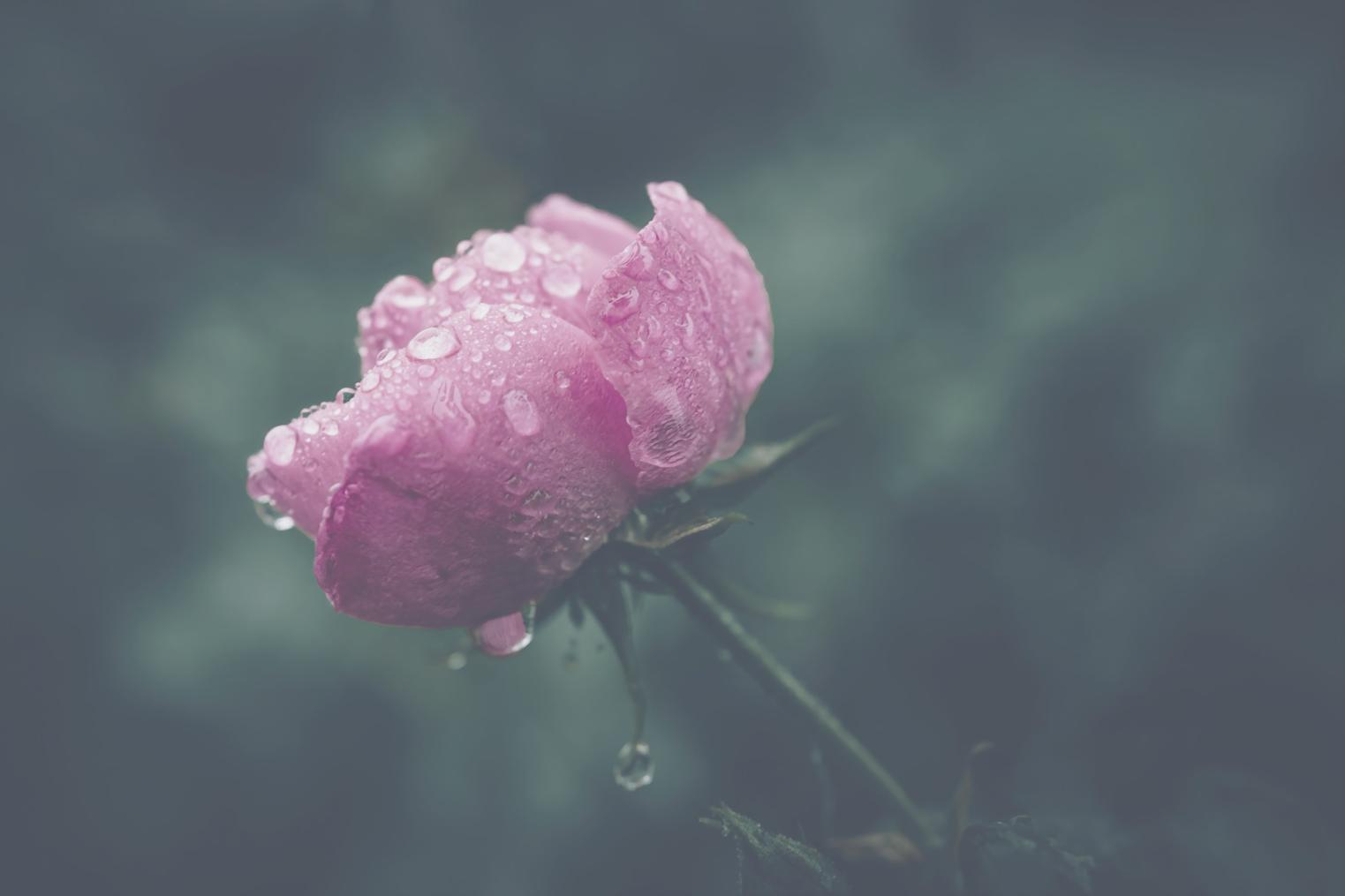 Student working on advanced floral arrangement in professional studio setting